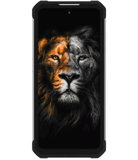 Ремонт Oukitel WP17 в Нижнем Новгороде