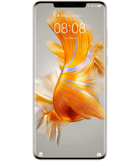 Ремонт Huawei Mate 50 в Нижнем Новгороде