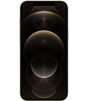 Ремонт iPhone 12 Pro Max в Нижнем Новгороде